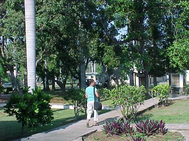 mvc-76.jpg